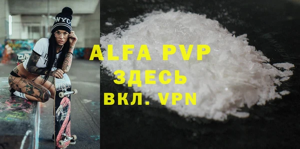 PSILOCYBIN Гусев