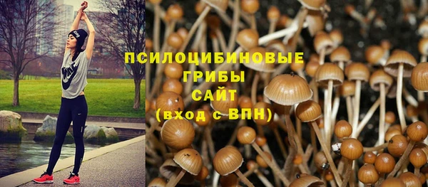 mdpv Гусиноозёрск