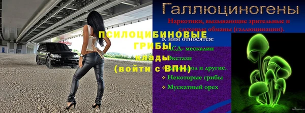 PSILOCYBIN Гусев