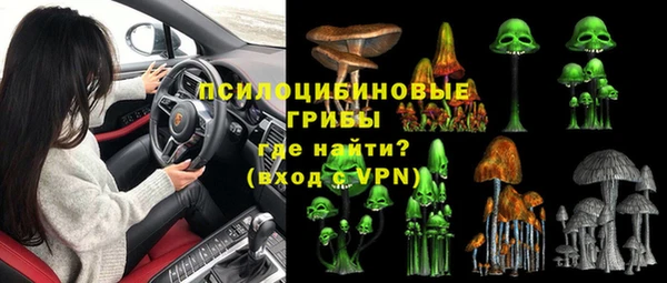 PSILOCYBIN Гусев