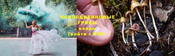 гидропоника Гусь-Хрустальный