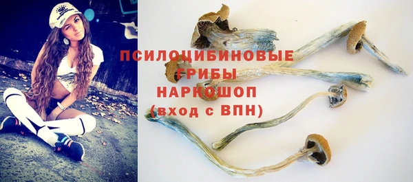 гидропоника Гусь-Хрустальный