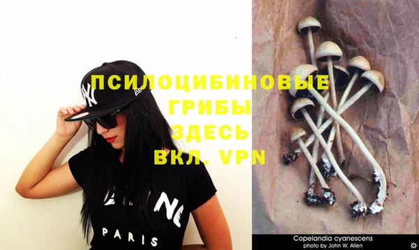 PSILOCYBIN Гусев