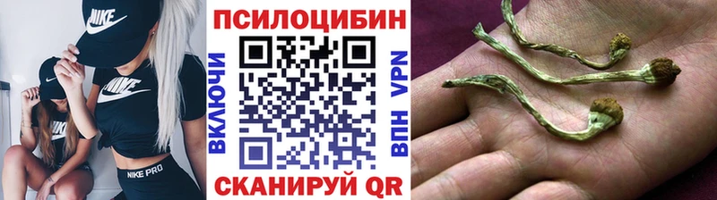 нарко площадка Telegram  Донецк  Псилоцибиновые грибы ЛСД 